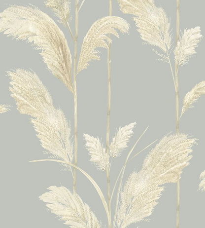 Pampas Grass