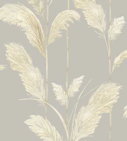 Pampas Grass