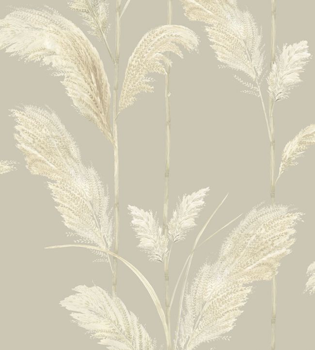 Pampas Grass