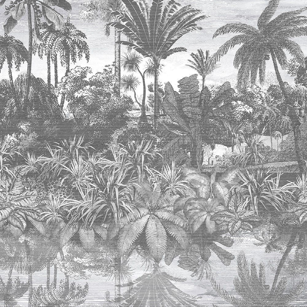 Tropical Reflections